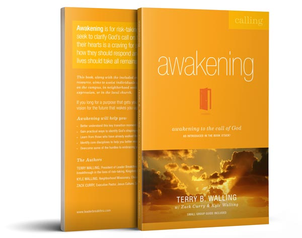 Awakening (book cover)
